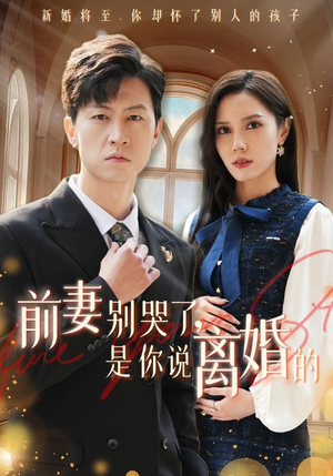 前妻别哭了，是你说离婚的（42集）免费短剧就是爽
