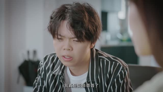 消失的爱人（27集）短剧每日分享