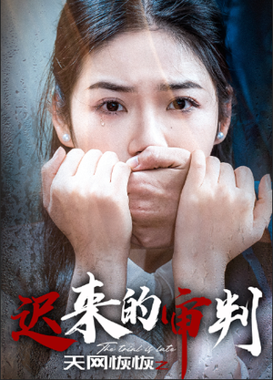 天网恢恢之迟来的审判（31集）好看到停不下来