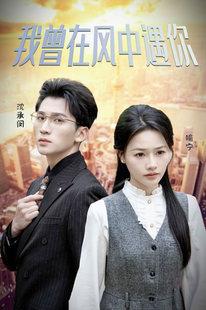 我曾在风中遇你（30集）第32集