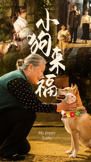 小狗来福（30集）在哪里看