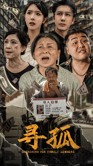 寻孤（78集）全集完整版