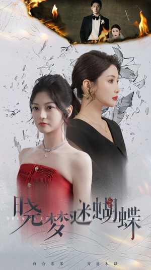 晓梦迷蝴蝶（76集）零花钱看整部剧
