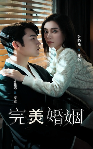 完美婚姻（65集）短剧分享剧集