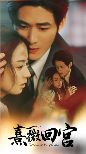 熹微回宫（61集）在线免费观影