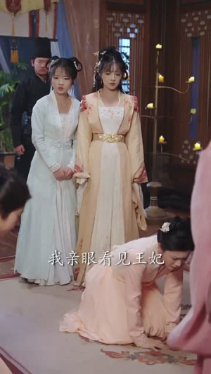 小小厨娘不好惹（64集）看到了大结局