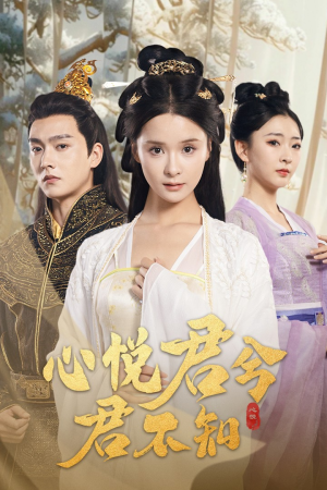 心悦君兮君不知（62集）80到100集