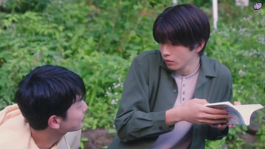 向阳之处必有声（12集）全集一次看完