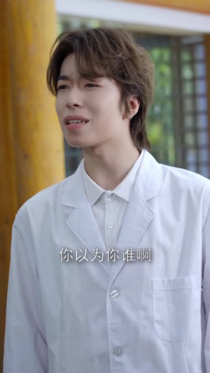 新：妙手圣医（30集）高清无码免费看