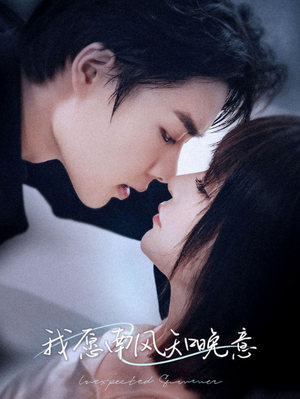 我愿南风知晚意（61集）短剧精彩不断