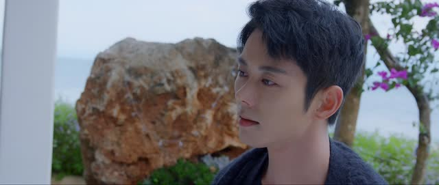 向北的遗憾（20集）短剧热门推荐