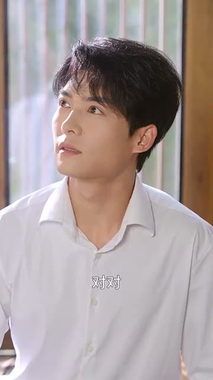 医风渡南星（36集）免费观看完整版