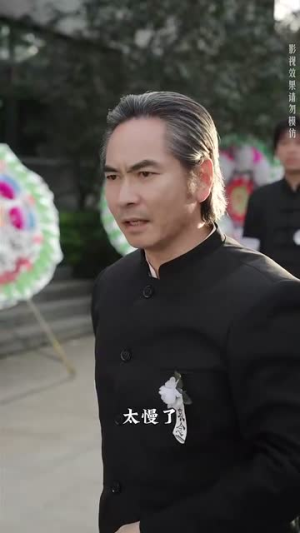 宗师（60集）在线看到大结局