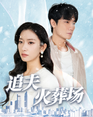 追夫火葬场（31集）精彩的短剧