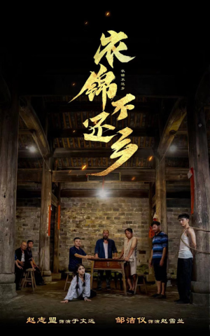 衣锦不还乡（69集）精彩热门短剧