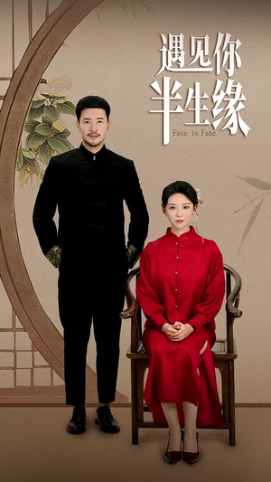 遇见你半生缘（65集）熬夜追短剧