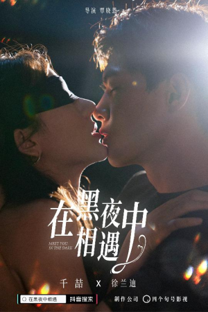 在黑夜中相遇（32集）免费短剧看全集