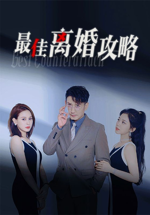 最佳离婚攻略（31集）最火爆短剧