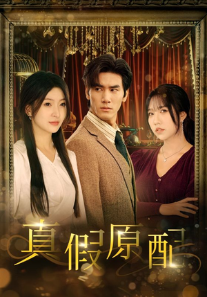 真假原配(35集) 真假原配(35集)大结局完美收官