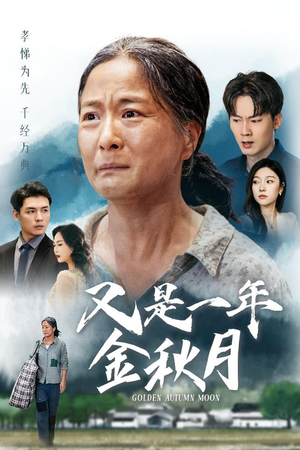 又是一年金秋月（55集）火爆短剧抢先看