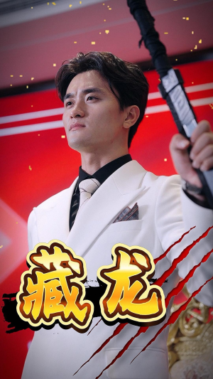 藏龙（30集）短剧解说热门