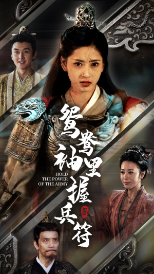 鸳鸯袖里握兵符（88集）看到大结局