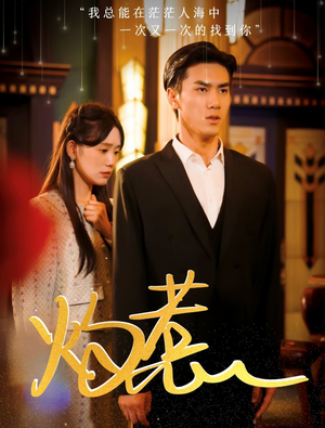 灼惹（44集）口碑之选免费看