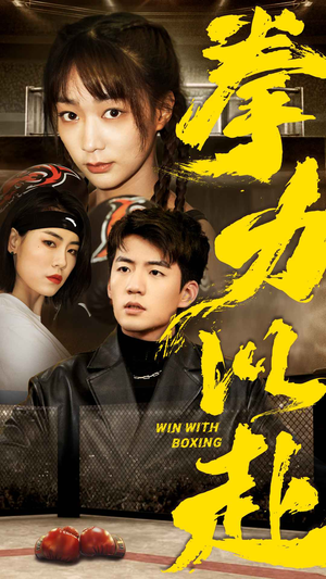 拳力以赴（80集）短剧介绍