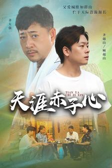 天涯赤子心（60集）热门短剧抢先