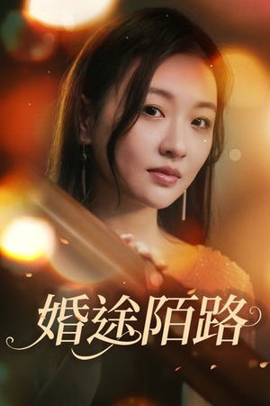 婚途陌路（15集）爱上了这部剧了
