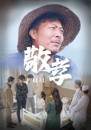 敬孝（61集）夸克网盘在线看