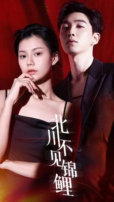 北川不见锦鲤（72集）爱上了这部剧了