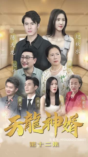 天龙神婿（80集）口碑爆棚免费看