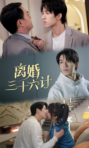 离婚三十六计（96集）最火爆的短剧