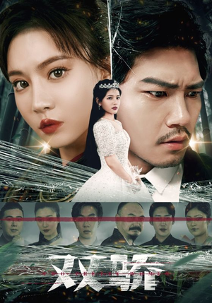 双骄（66集）短剧太好看了吧