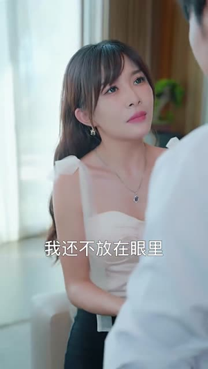 隐龙归来（88集）最后的大结局