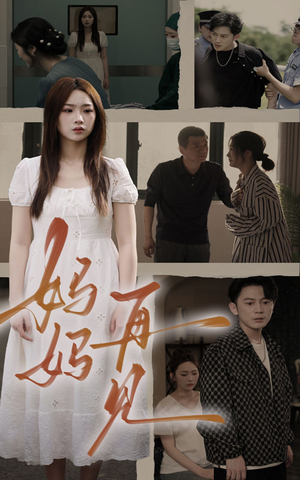 妈妈，再见（28集）看到了大结局