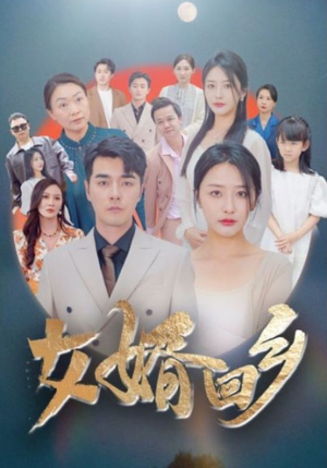 女婿回乡（120集）一共多少集