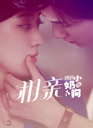 相亲遇到小奶狗（80集）短剧太精彩