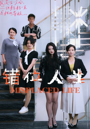 错位人生（89集）在线看完整版