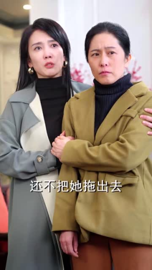 春雪落无声（67集）免费观看完整版