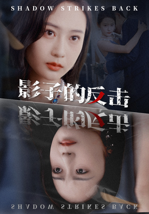 影子的反击（31集）深深爱上这部剧