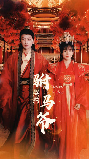 契约驸马爷（74集）短剧也太好看了