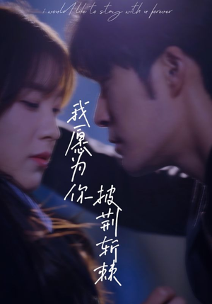 我愿为你披荆斩棘（88集）全集下载