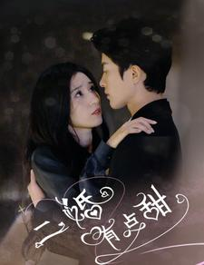 二婚有点甜（88集）精彩的短剧