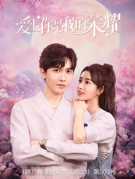 爱上你是我的荣耀（57集）口碑爆棚免费看