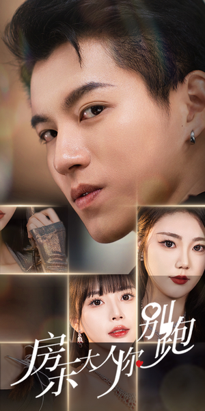 房东大人你别跑（77集）短剧全集免费