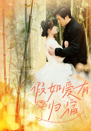 假如爱有归宿（73集）精彩短剧推荐