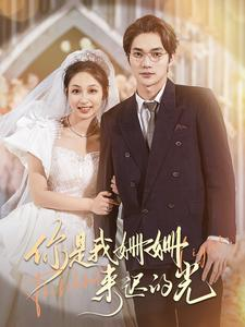 你是我姗姗来迟的光（99集）贝贝短剧分享