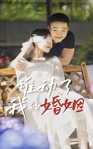 谁动了我的婚姻（24集）河马免费短剧